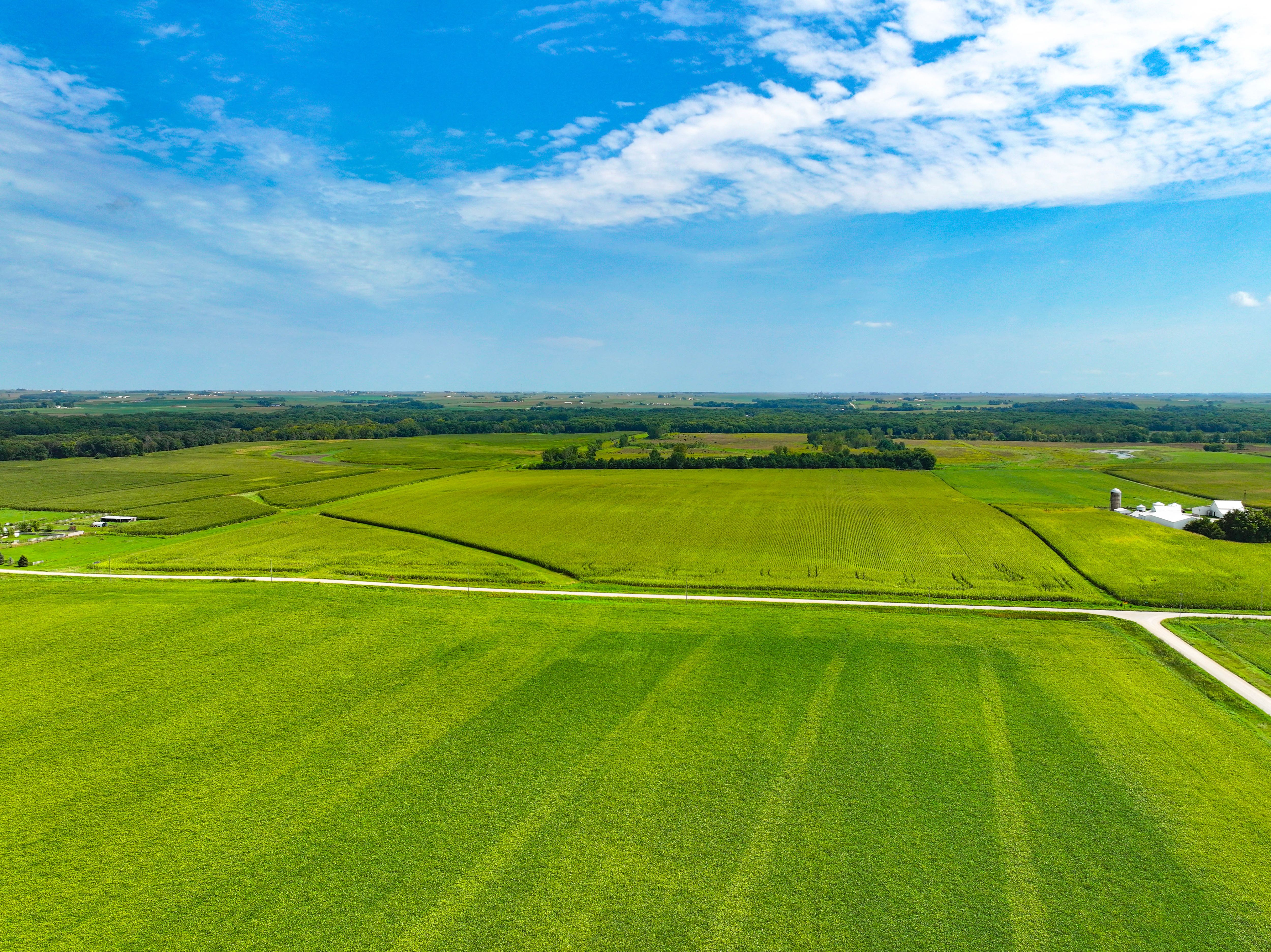 Listing Photo: 04_Buchanan County Iowa Farm For Sale